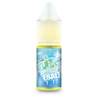 ESALT: Icee Mint 10ml - Fruizee