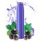 Pod Blackcurrant Menthol 575 puffs 2ml - Geek Bar : Nicotine:0mg