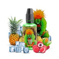 Fighter Fuel Concentré Ushiro 30ml - Maison Fuel